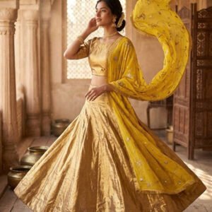 Banarasi Zari Silk Lehenga Set with Sequined Georgette Dupatta